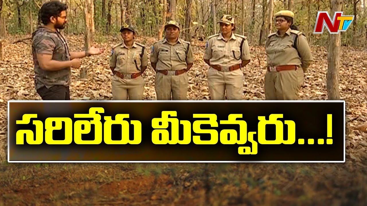 Special Focus on Women Forest Officers in Adilabad l Women's Day Special l Ntv
