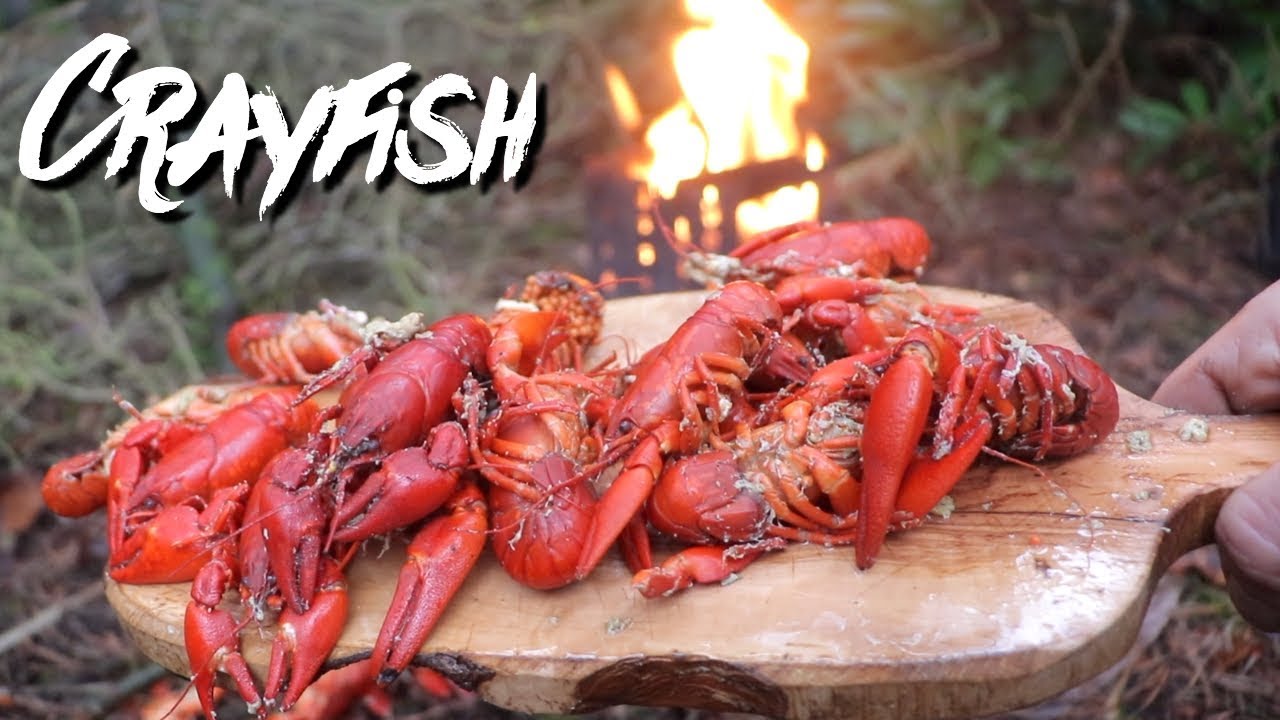 Ныряющие раки в лесу | Bushcraft Catch & Cook