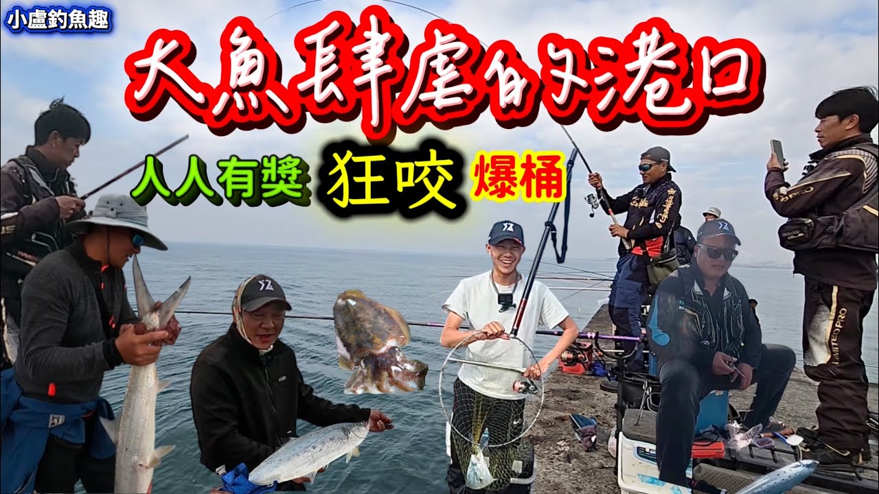大魚肆虐的港口「人人有魚」瘋狂大咬中