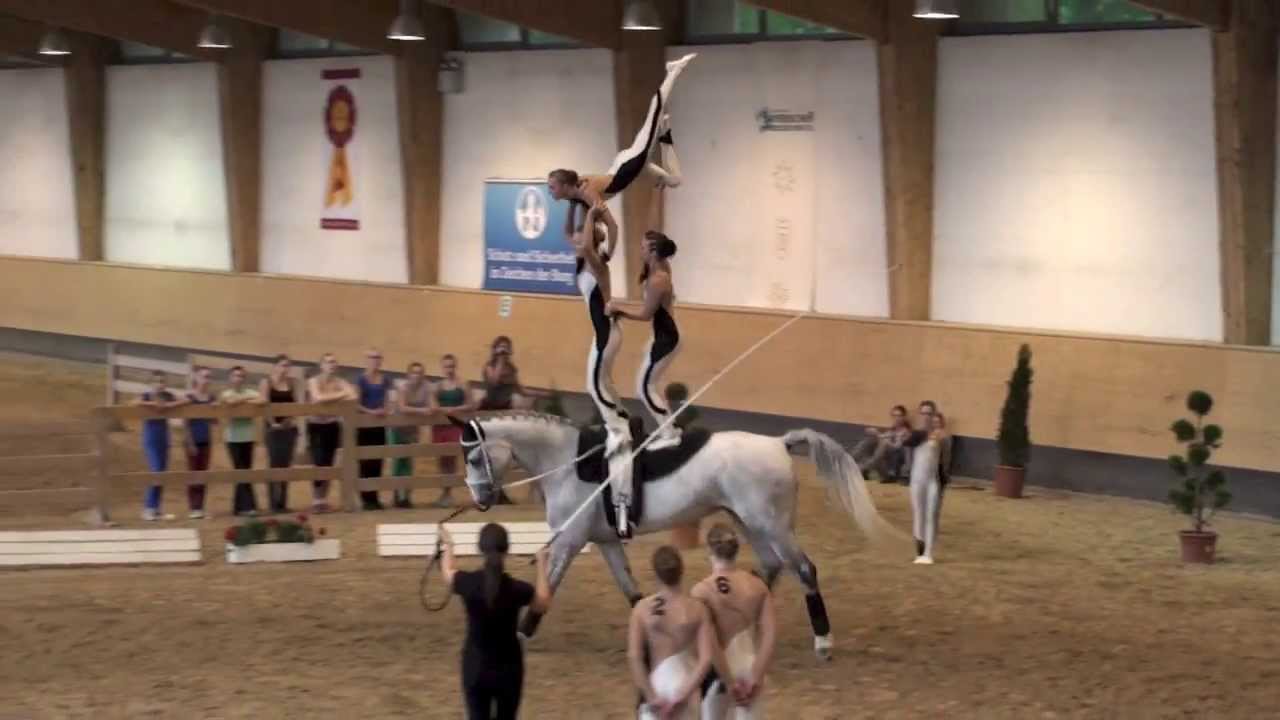 Pferd International 2013  Gut Waffenschmiede I
