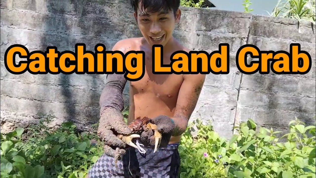 CATCHING LAND CRAB vlog7