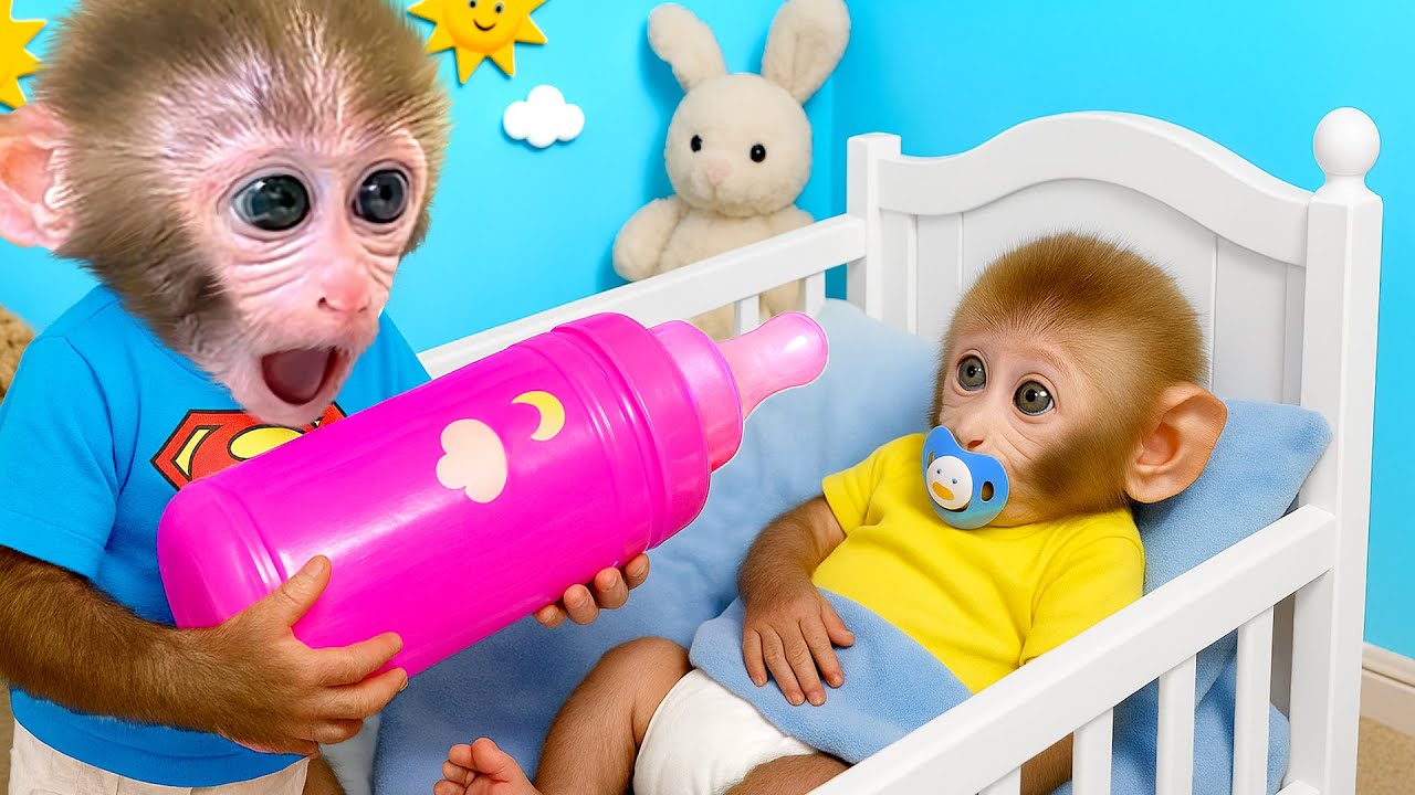 Affe Bonbon wird ein toller Bruder, pflegt das Baby und rettet die Katzenfreundin - HT Tierwelt