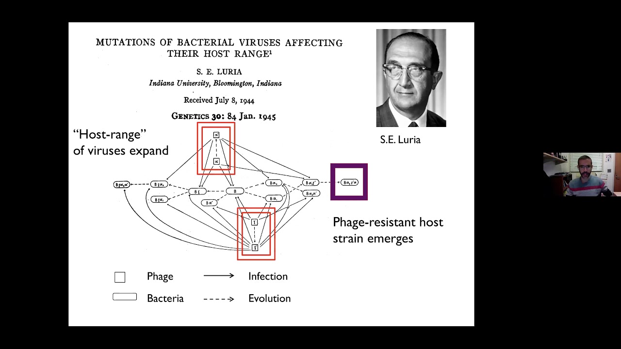 Virus-Microbe Dynamics: Principles, Ecology, and Therapeutics - Part 1