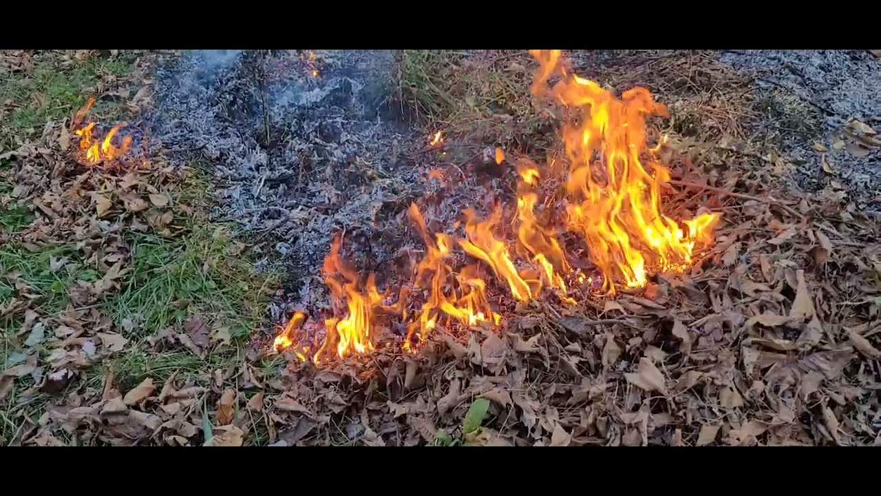 Progression of a Fire