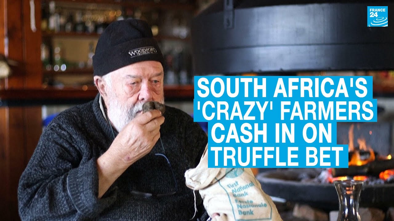 South Africa's 'crazy' mountain farmers cash in on truffle bet • FRANCE 24 English