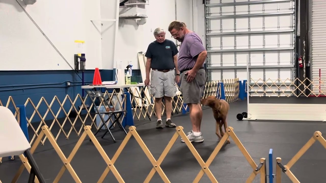 Utility Exercises