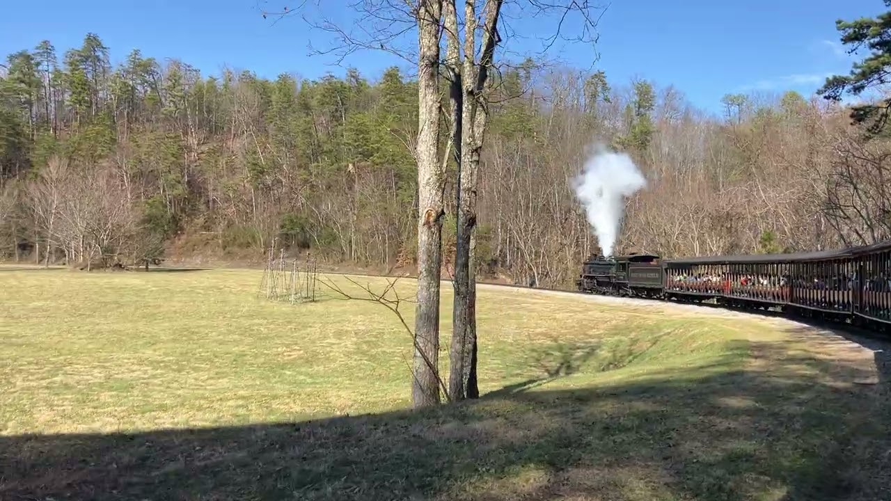 Dollywood Express Train #dollywood  #train #deer