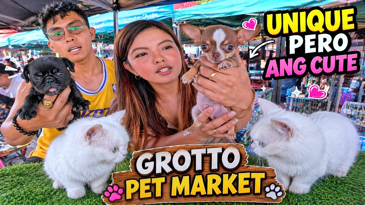 GRABE! Ang DAMING QUALITY Pets Ngayon! Grotto Pet Market Dogs, Cats and Birds