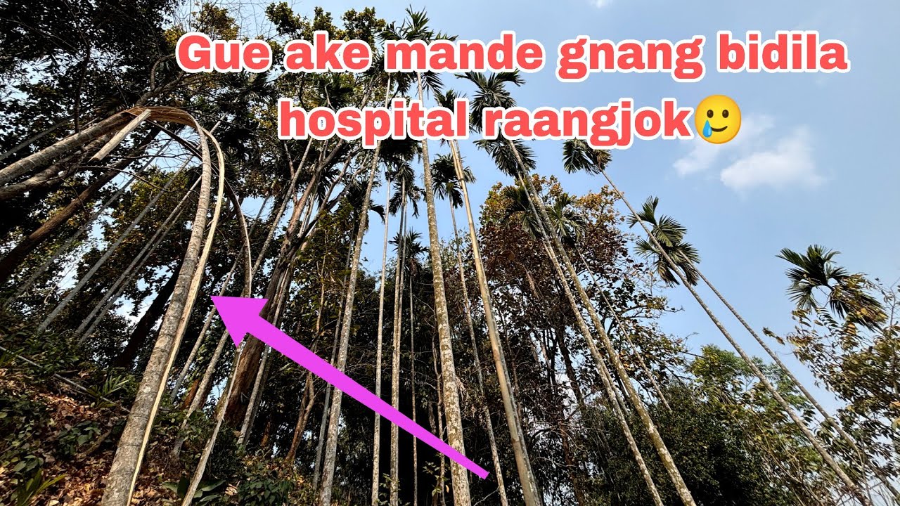 Gue kosakchini mande gnang bidila angni awangko bilongjok🙏🙆‍♀️