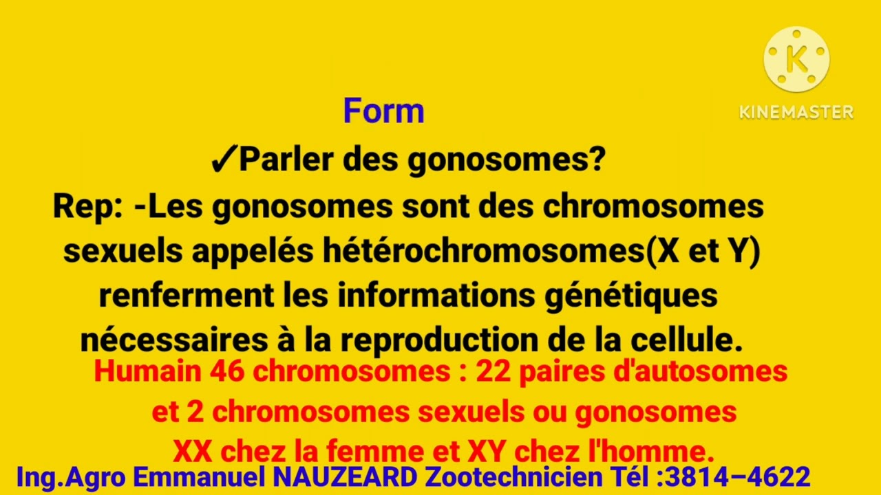 Biologie : SVT SMP SES ✍️ Chromosomes et les syndromes : pa Al konpoze sanw pa konnen yo✍️💯