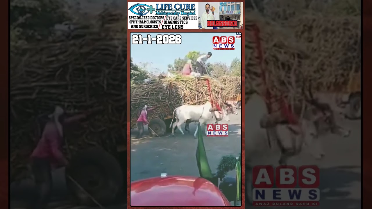 Gao ko maante hain mata magar Bail Baap Ko Bana Diya Mazdoor Ye konsa hai insaf bhagto