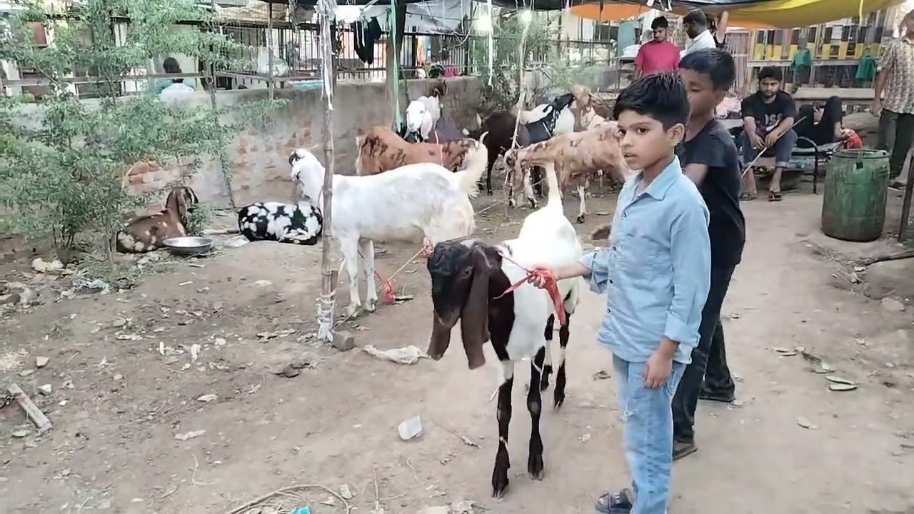 Delhi marcket video #sarojexpress vlogs #yoitubeshortsvideo # 
