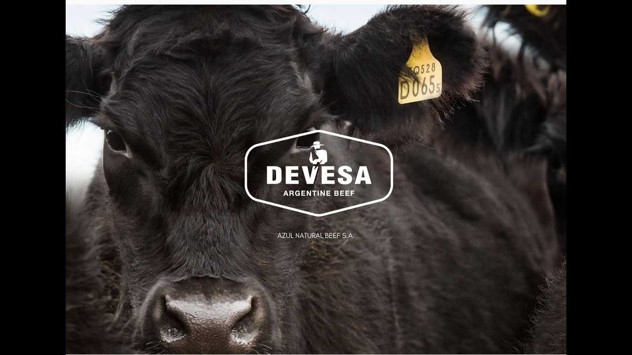 Devesa Video institucional VC