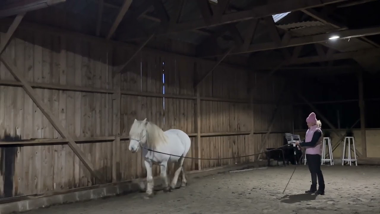 Svårigheter att sända ut hästen på volten vid longering? Det vanligaste misstaget man gör är att …