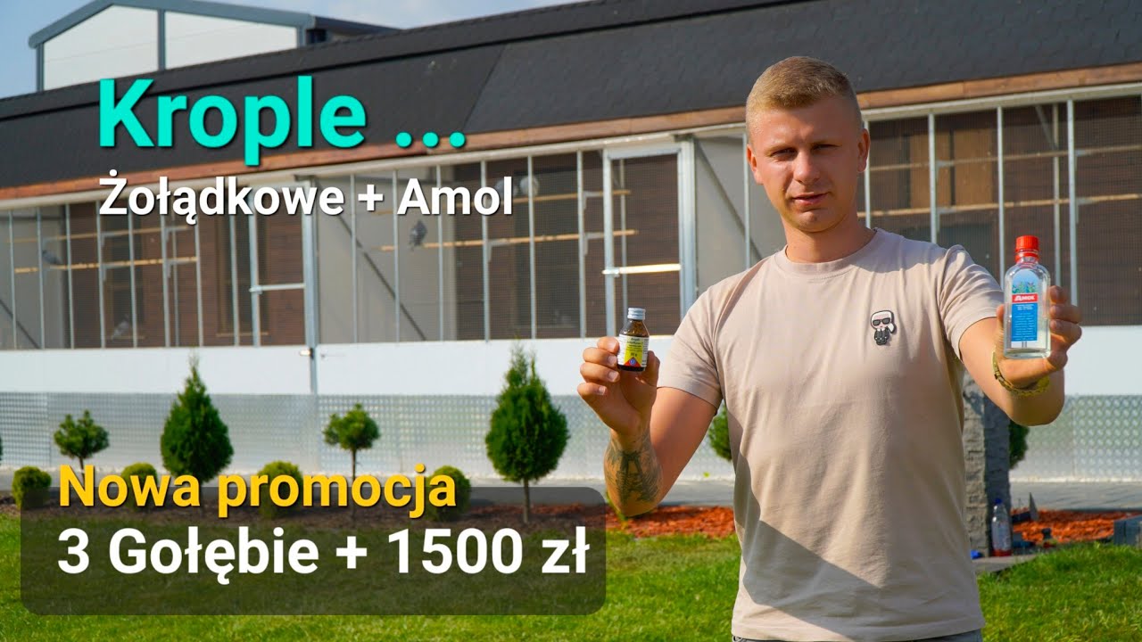 PIGEBOOK / E-GOLAB - Krople żołądkowe + Amol 🙈☺️ Oj dawno takiej promocji (akcji) nie było 👌💙