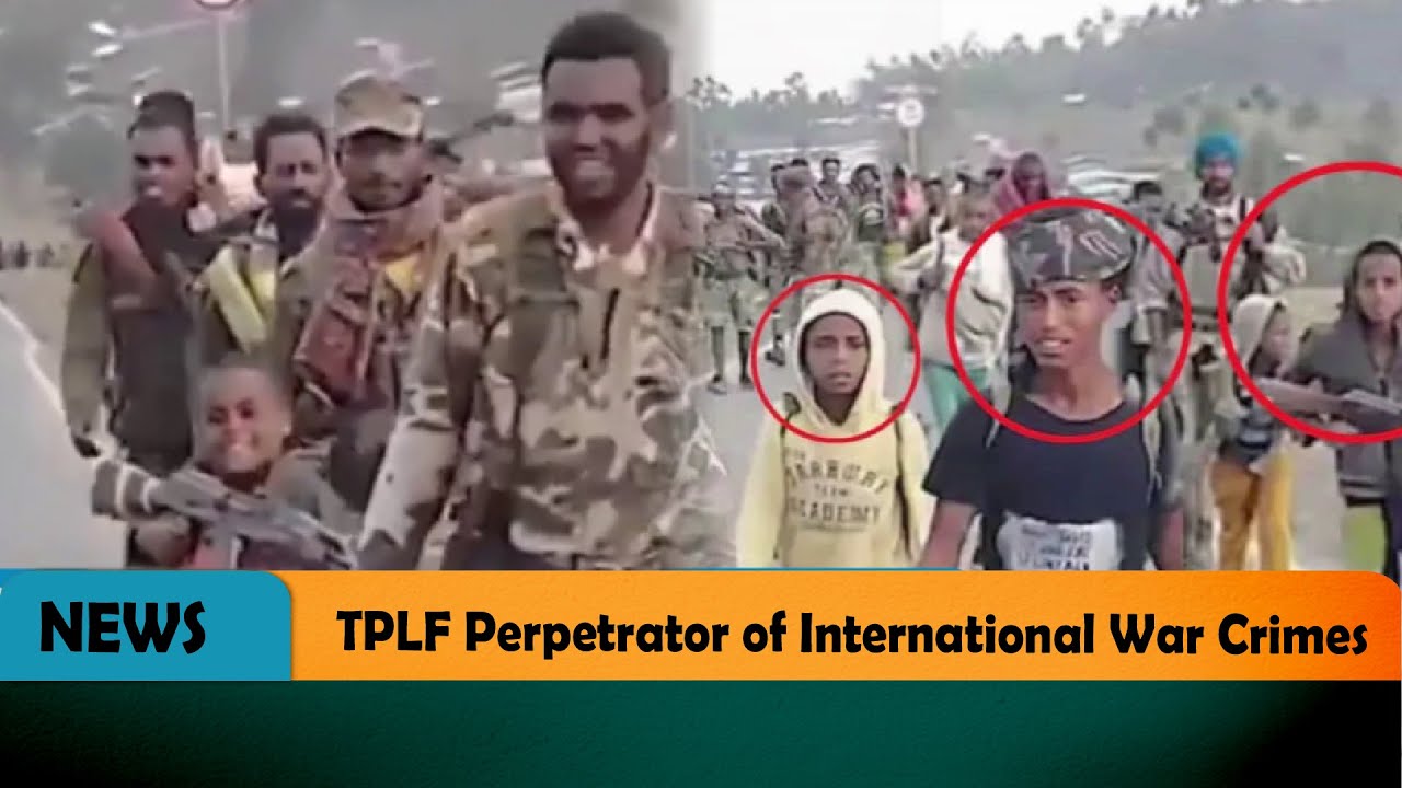 TPLF Perpetrator of International War Crimes