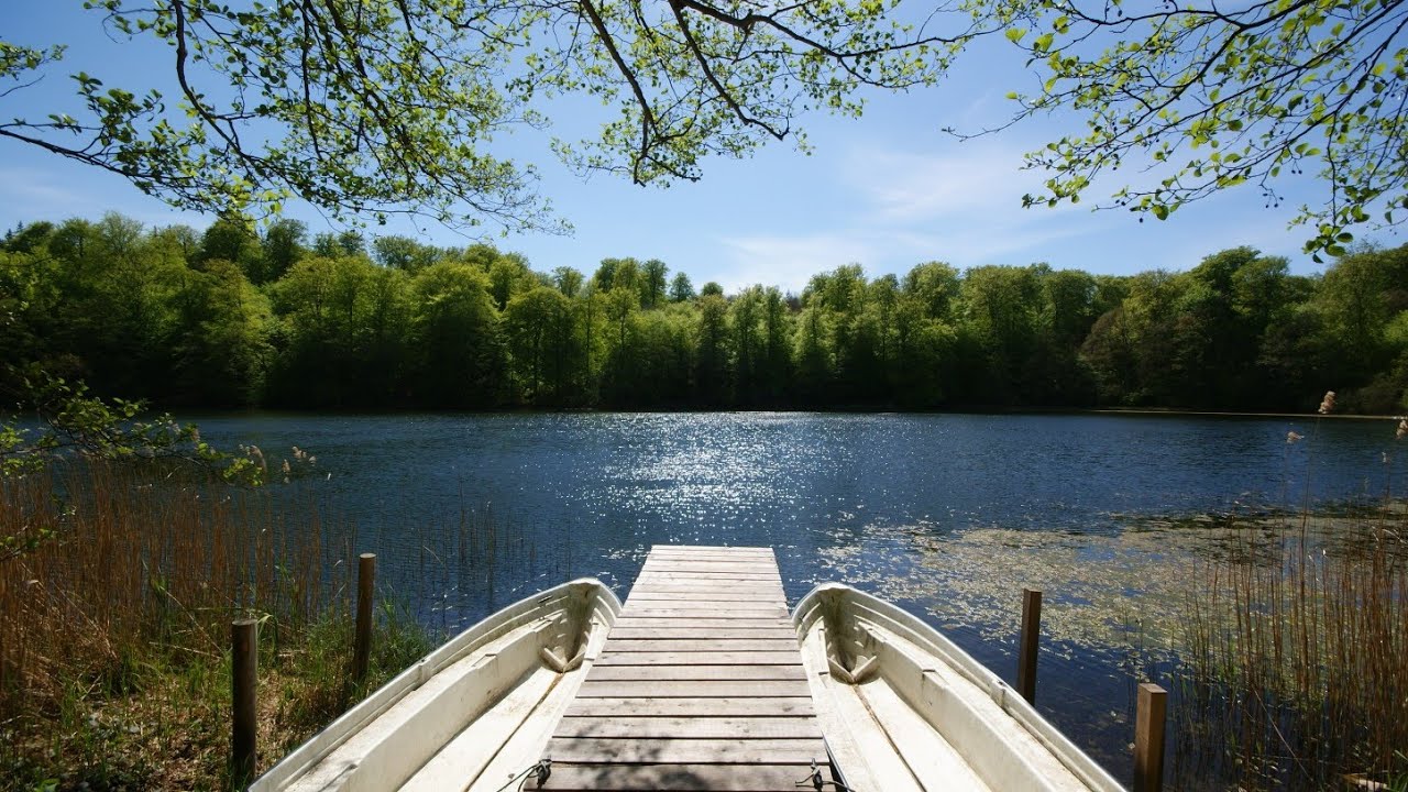 Der kleine See im Wald