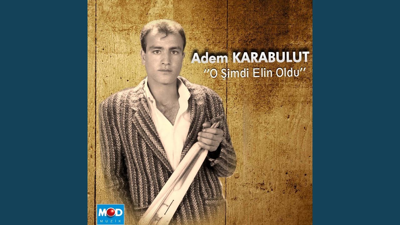 Üzüm Aldım Asmadan