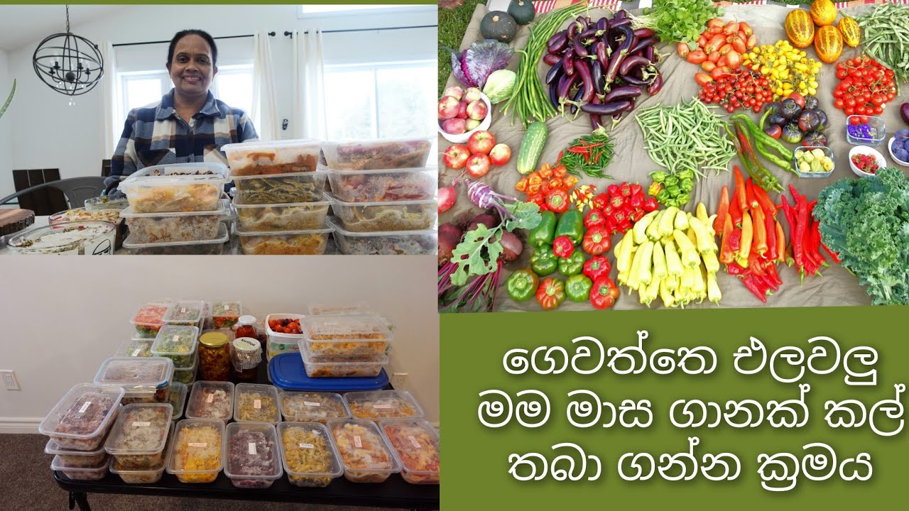 ගෙවත්තෙ එලවලු සීත කාලය පුරාවට මම පාවිච්චි කරන්නෙ මෙහෙමයි. My Food Preservation Techniques