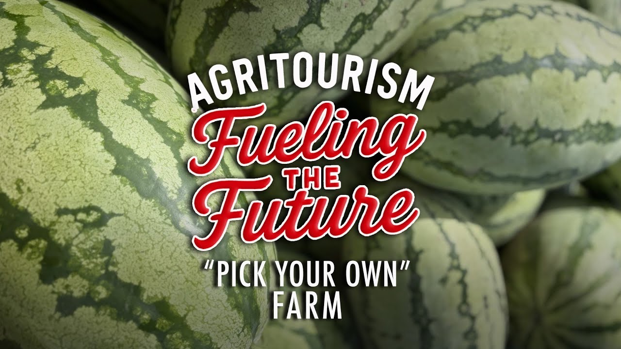 Pick Your Own Farms Growing in Louisiana