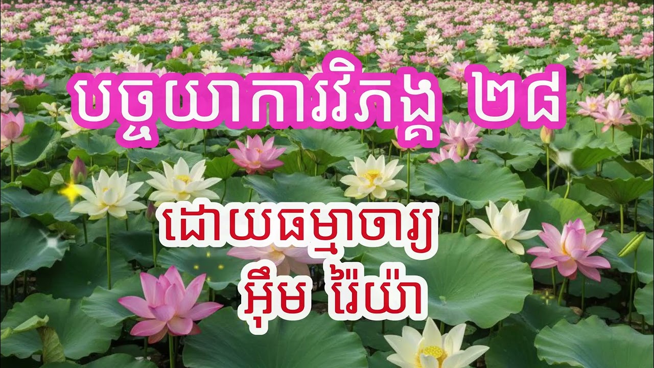 បច្ចយាការវិភង្គ ២៨ ឬបដិច្ចសមុប្បាទធម៌ សម្តែងដោយ ធម្មាចារ្យ អ៊ឹម រ៉ៃយ៉ា​ #ធម៌ទេសនា #ធម៌អប់រំជីវិត