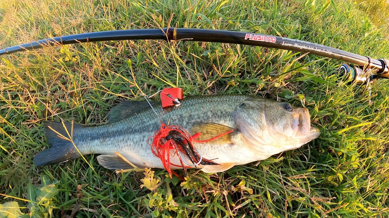 Plusinno telescopic fishing rod $50 Amazon challenge.