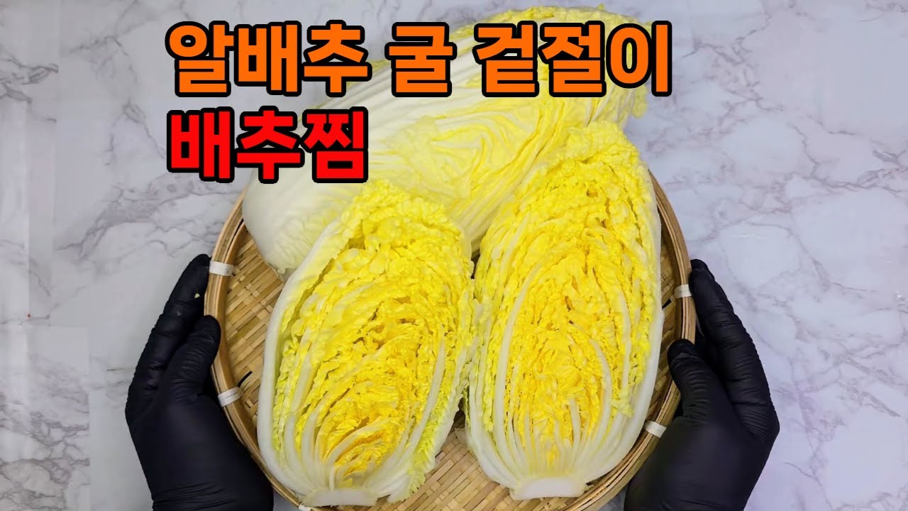 겨울 제철 배추, 알배추 굴 겉절이 김치와 배추찜 레시피, 배추 고르는법과 효능