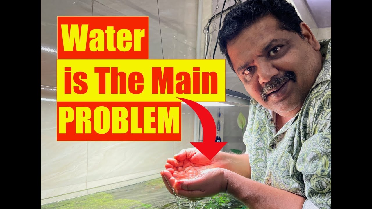 Aquarium Water | WARNING | Water is the Problem | Water Test Strips | Mayur dev Aquascaper 4K