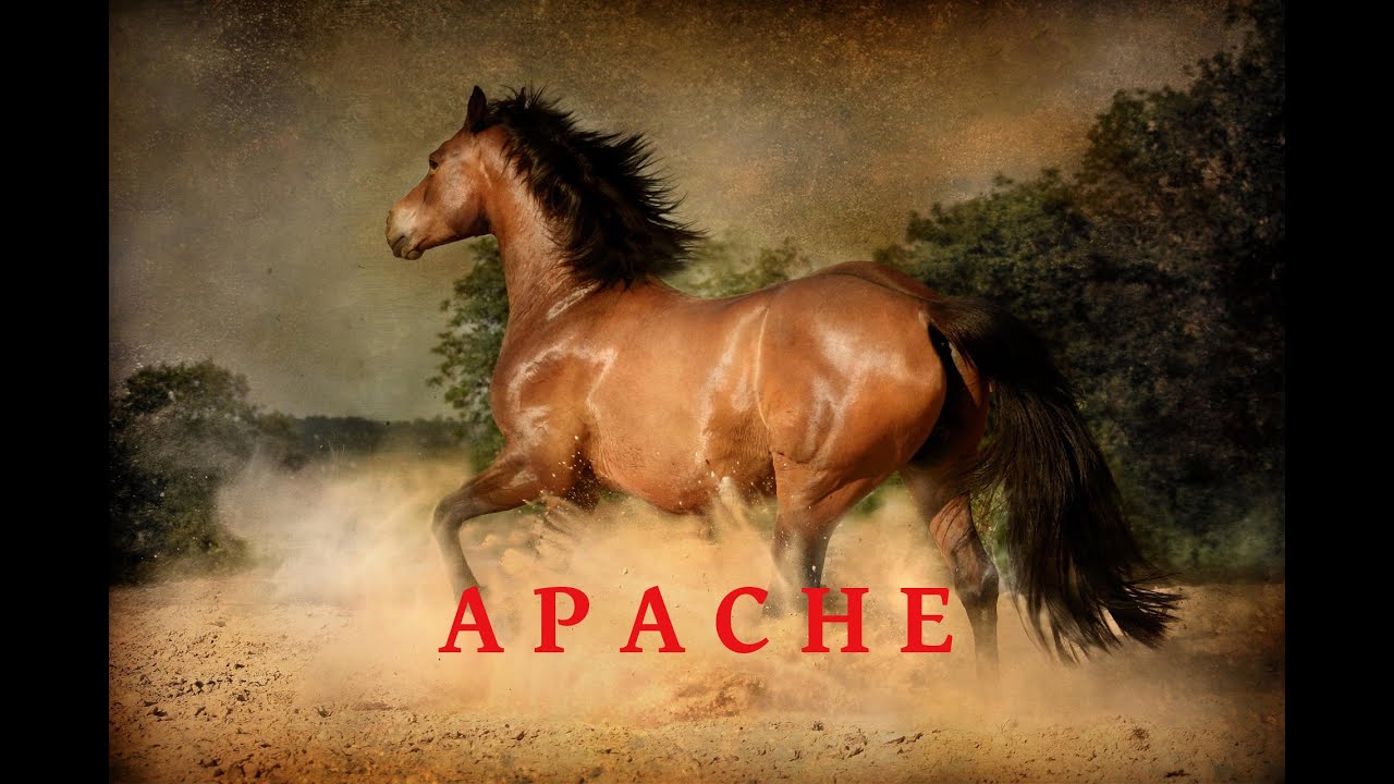 Apache  par Patrick Steffan