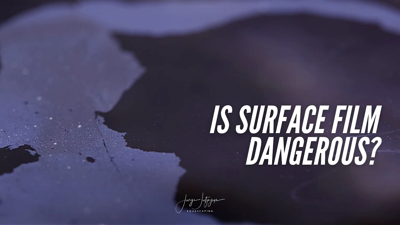 AQUARIUM SURFACE FILM - 3 Easy Solutions!