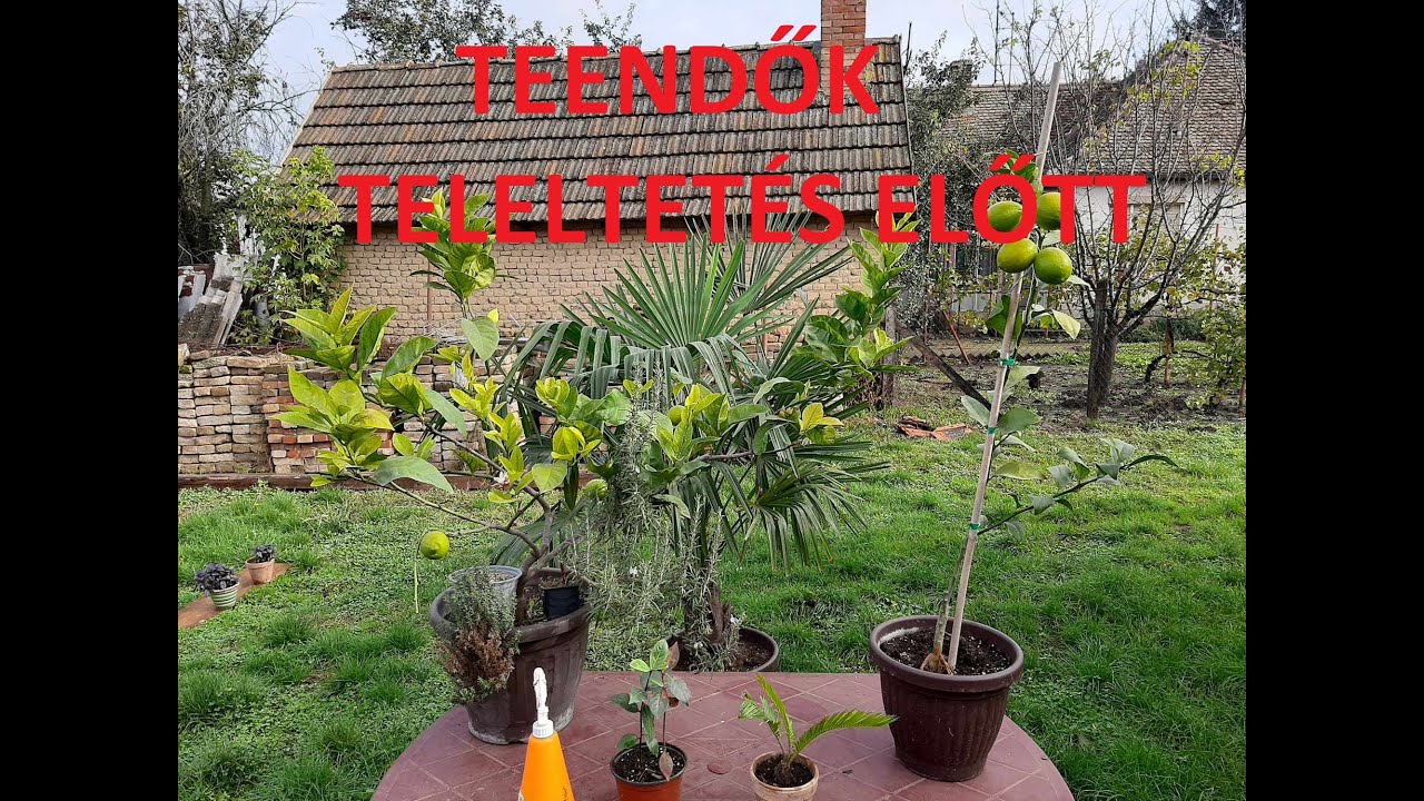 Teendők teleltet&eacute;s előtt