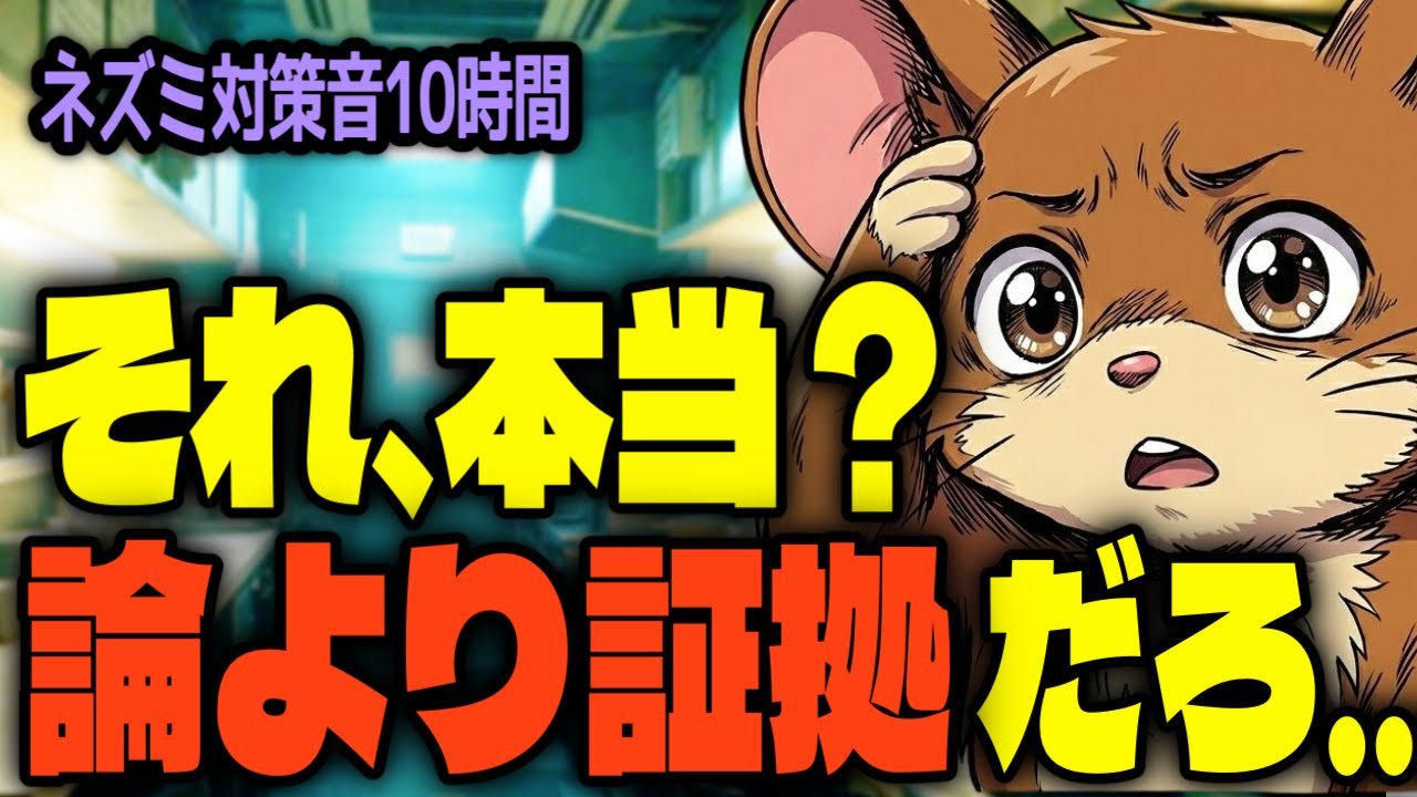 【静かな夜に…】ネズミが近づきにくい対策｜住環境調整10時間（2026 Type-I）