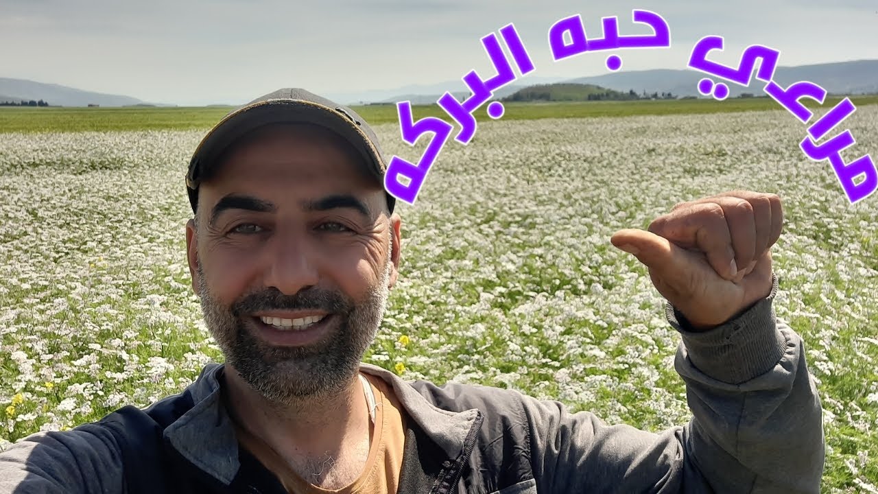 مراعي حبه البركه من اجمل المراعي واغزرها