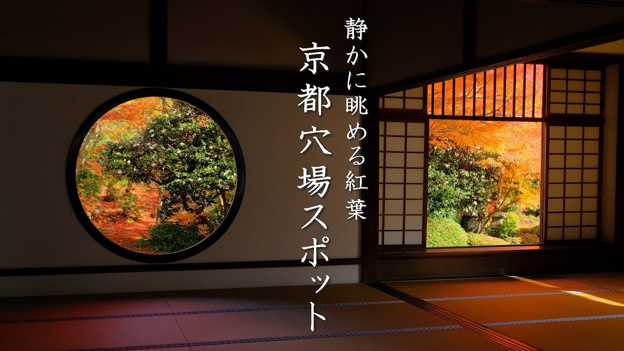 【静かに眺める紅葉】京都鷹峯エリアの穴場スポット３選｜源光庵｜常照寺｜正伝寺