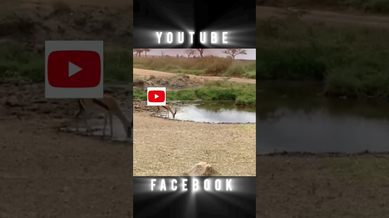 YouTube vs Facebook 🍷🗿