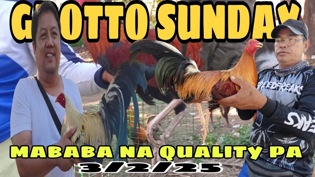 BOSS HAPON PALDO SA GROTTO MARKET PINAKYAW SAMPUNG MANOK MGA QUALITY KAYA BINILI AGAD