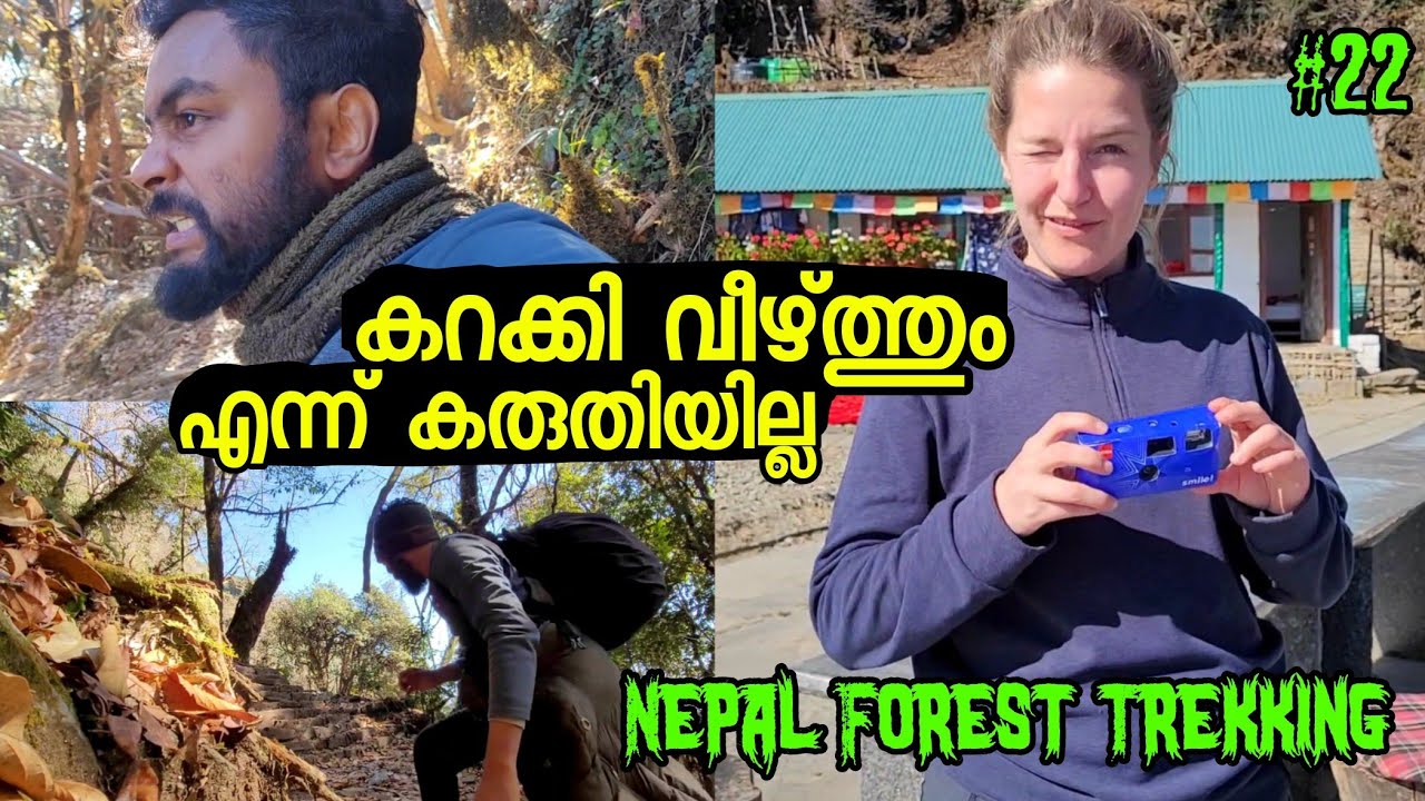 EP22 കറക്കി വീഴ്ത്തും എന്ന് കരുതിയില്ല Mardi Himal Trekking Nepal കാടിനു നടുവിൽ തല കറങ്ങി വീണപ്പോൾ