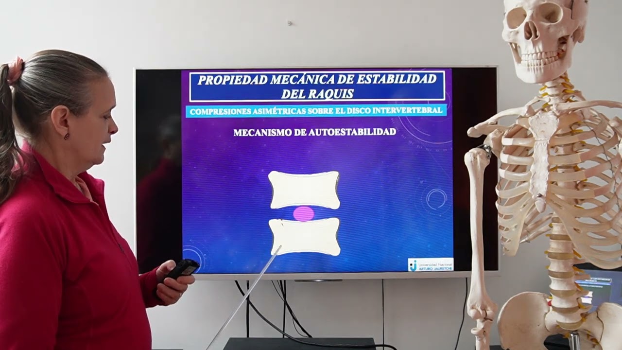 Columna vertebral General - Tercera Parte