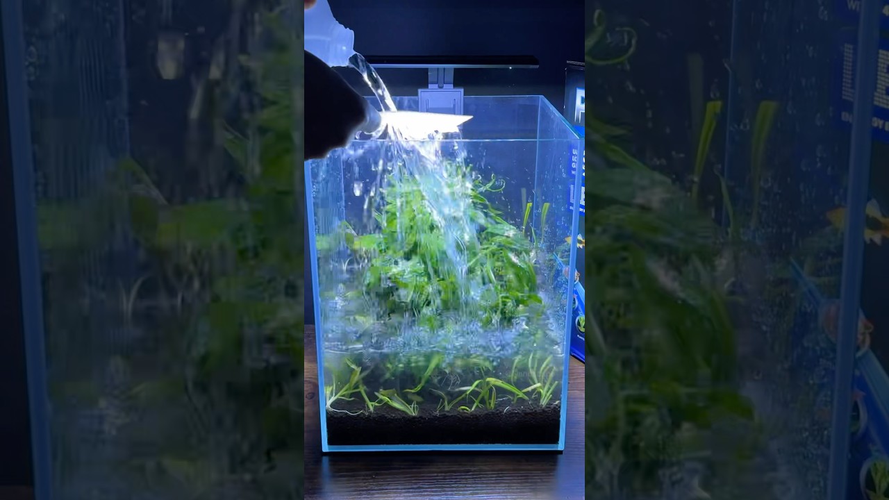 Filling my nano cube aquarium (Purevue 5.5 Gallon Cube)