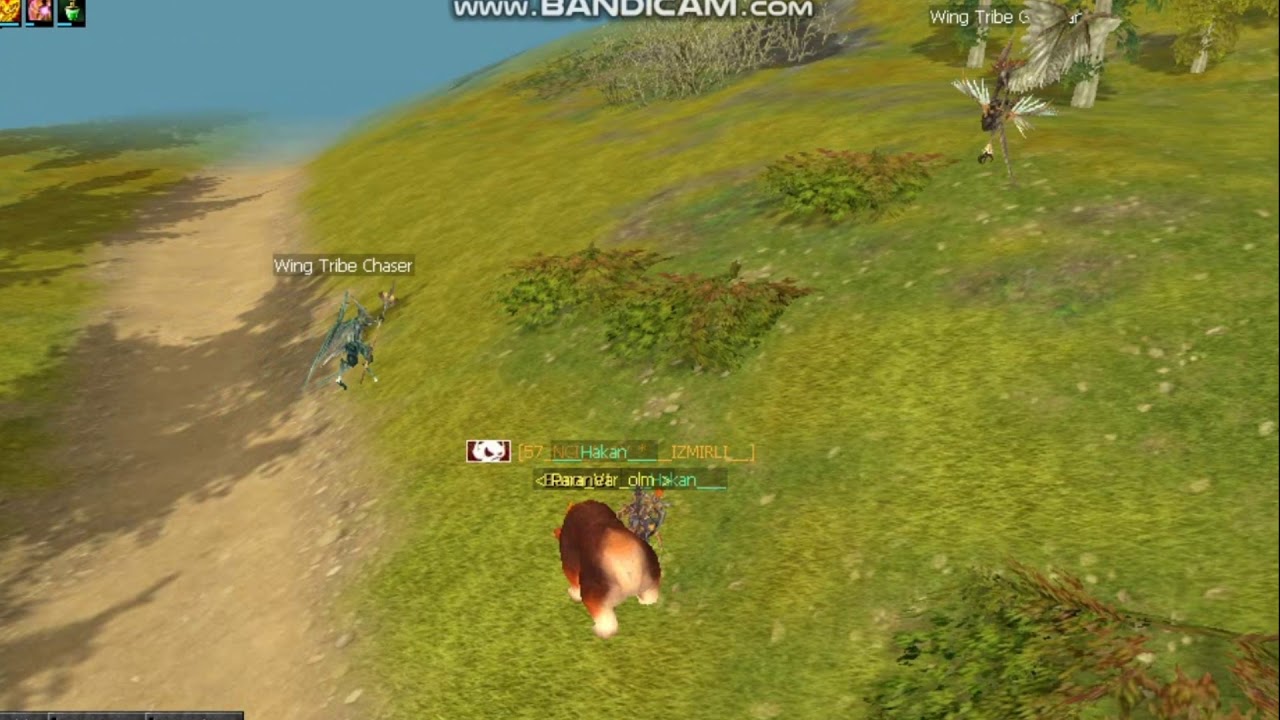 Joysro Mitra Tiger Girl ve Cerberus 1hit +3 npc clericrod.