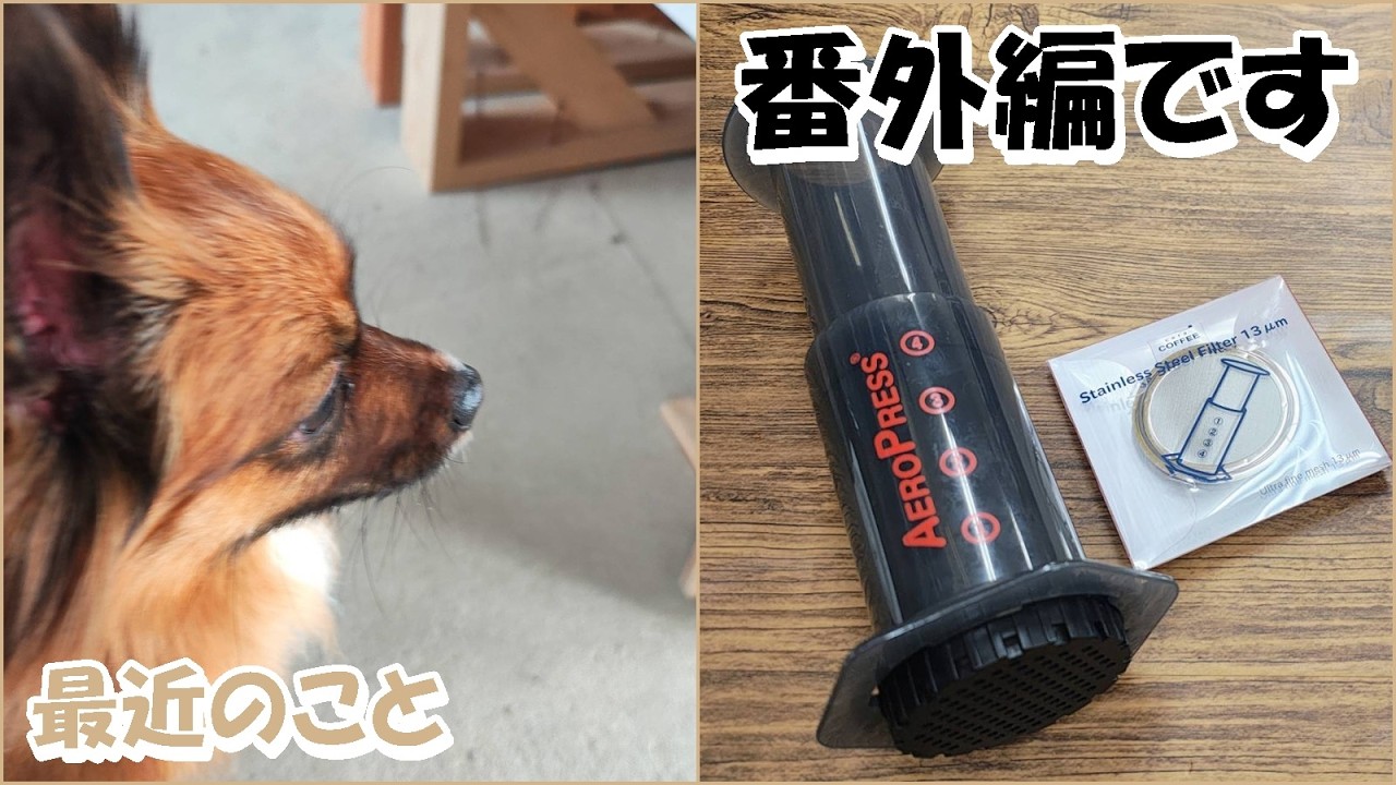 【番外編】エアロプレス補足と、最近動画をあげられていない理由