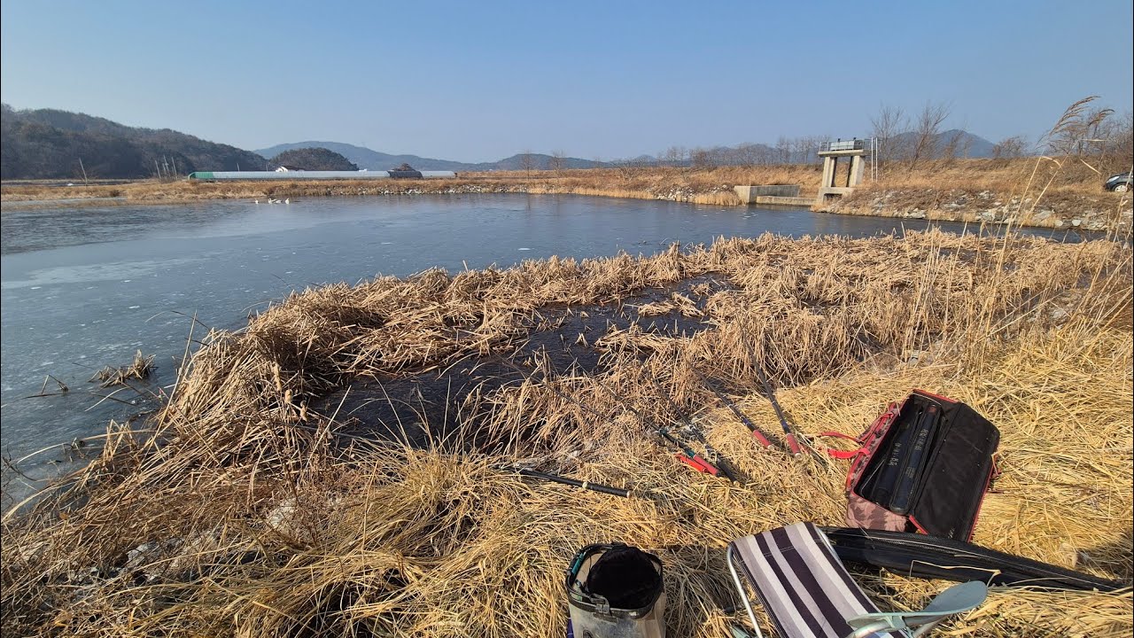 [조황]_ 충남 서산. 태안권 / 물반. 얼음반 / 냉수괴 몰황 중