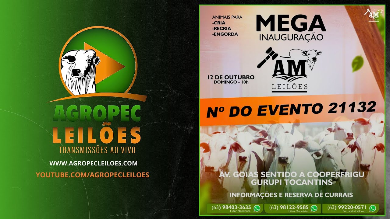 agropecleiloes.com - MEGA LEIL&Atilde;O ESPECIAL DE INAUGURA&Ccedil;&Atilde;O | AM LEIL&Otilde;ES - GURUPI-TO 12/10/2025