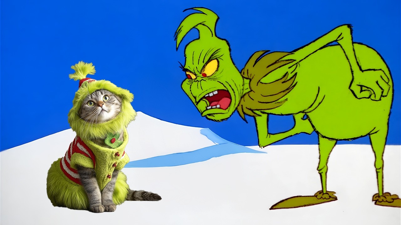 Cat Grinch Finds Mistakes in 6 Christmas Movies (and 1 Bitter Truth)