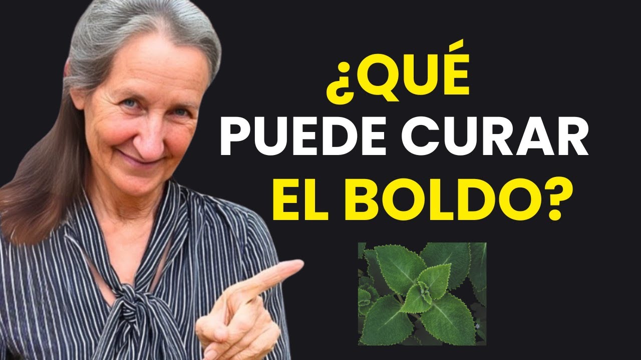 The 7 Medicinal Uses of Boldo That Few Know About