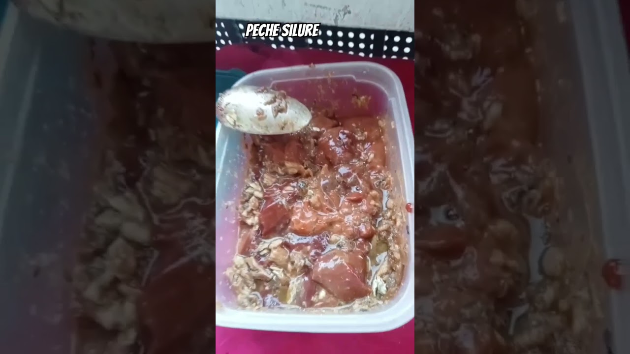 P&Ecirc;CHE SILURE LE RETOUR DES FOIES DE VOLAILLE #fishing #catfishing #silure