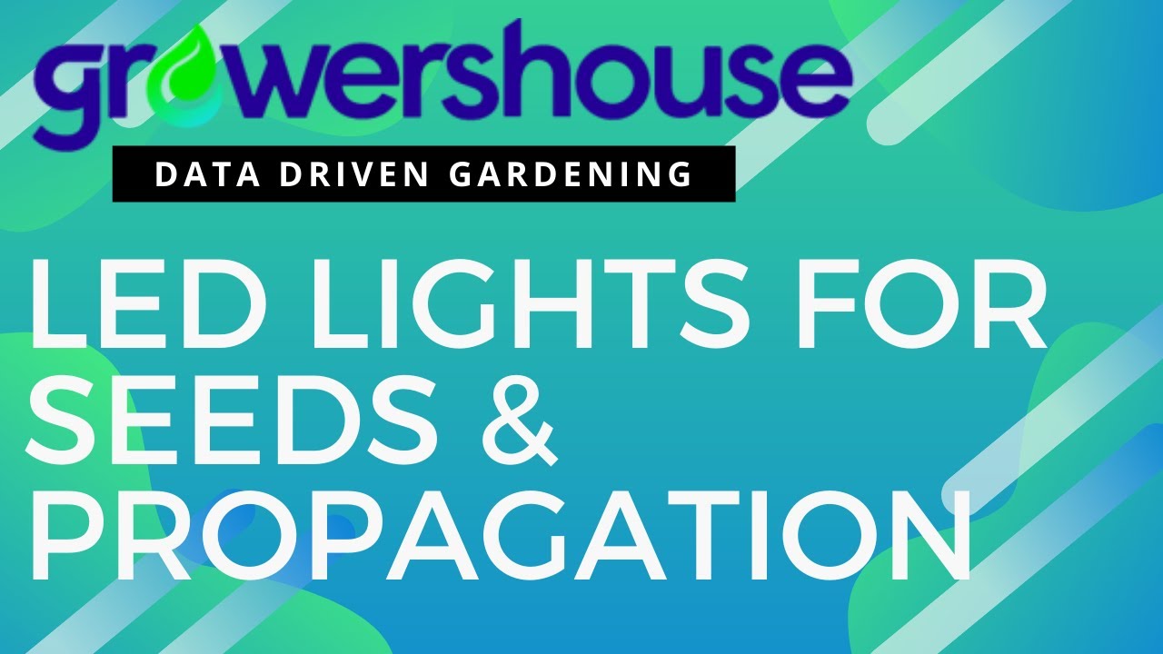 LED Grow Lights for Seeds & Propagation Review & Unboxing HLG Quantum Board, AgroLED & Growlite