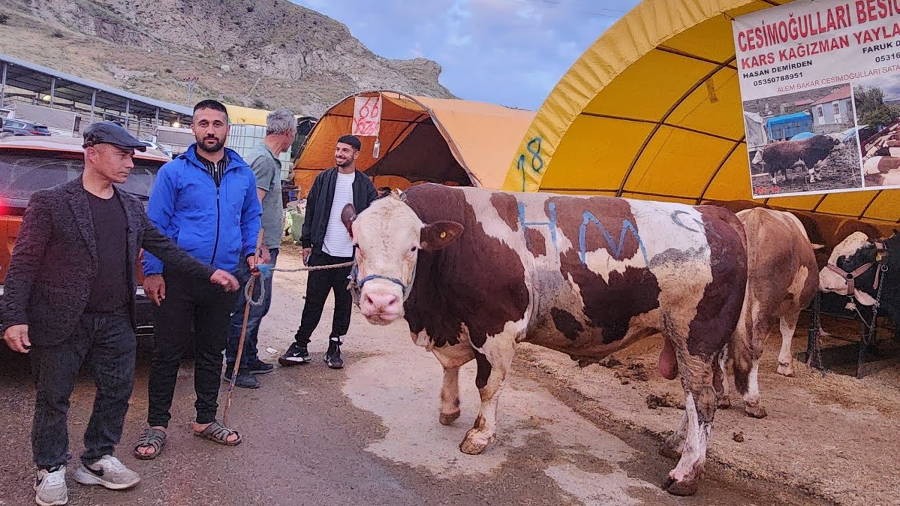 Yakacık kurban pazarı