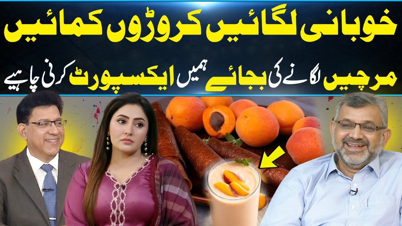 How To Do Export Organic Farming in Pakistan | Earn Crores By Exporting Apricot | DaisBook
