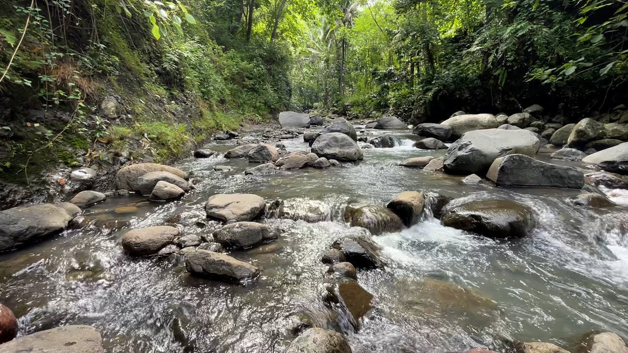 River Water Sounds 🌙 Fall Asleep Fast with Relaxing Nature Ambience & White Noise